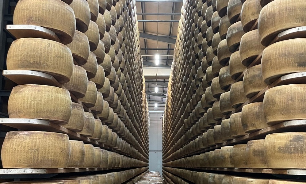 Caldaie a vapore stagionatura formaggi