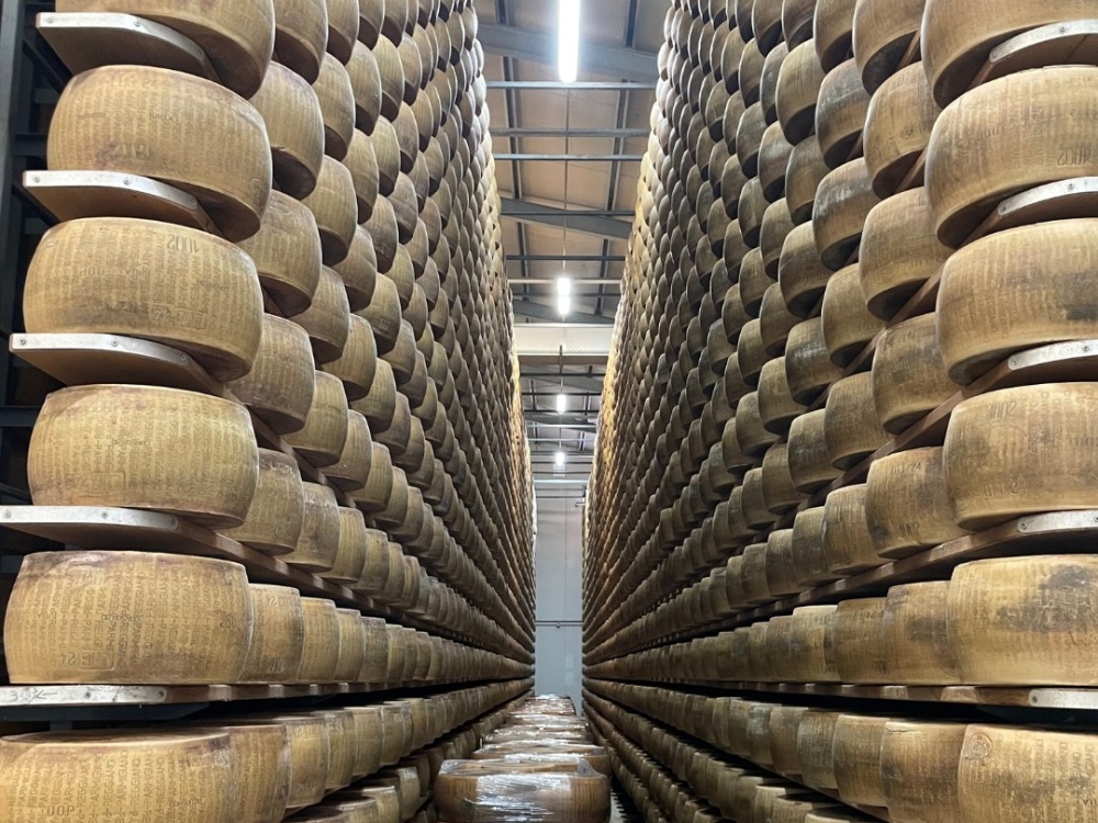 Caldaie a vapore stagionatura formaggi